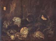 SCHRIECK, Otto Marseus van Still Life with Insects and Amphibians (mk14) china oil painting artist